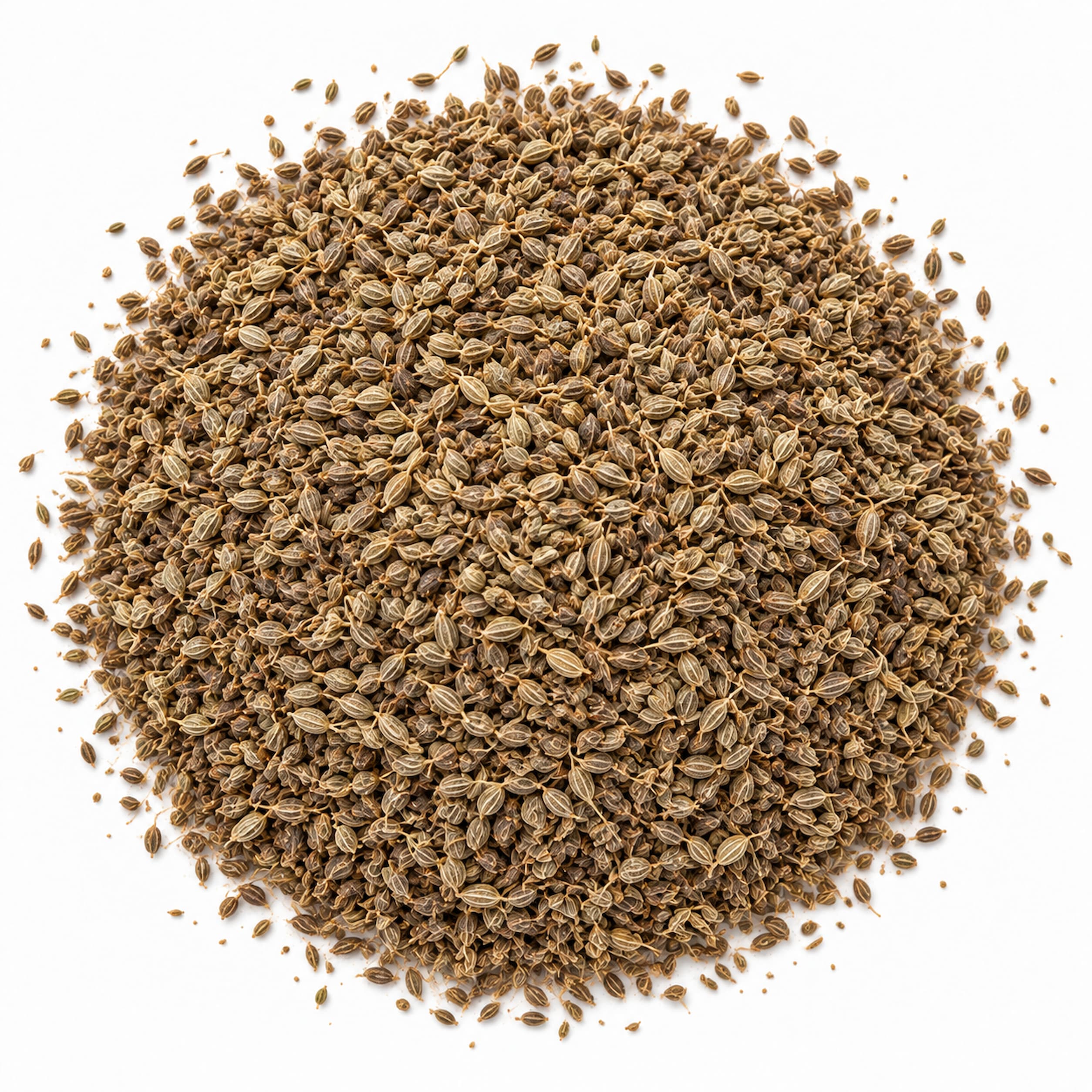 Bulk Anise Seeds