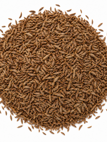 Caraway Seeds — 50 lbs