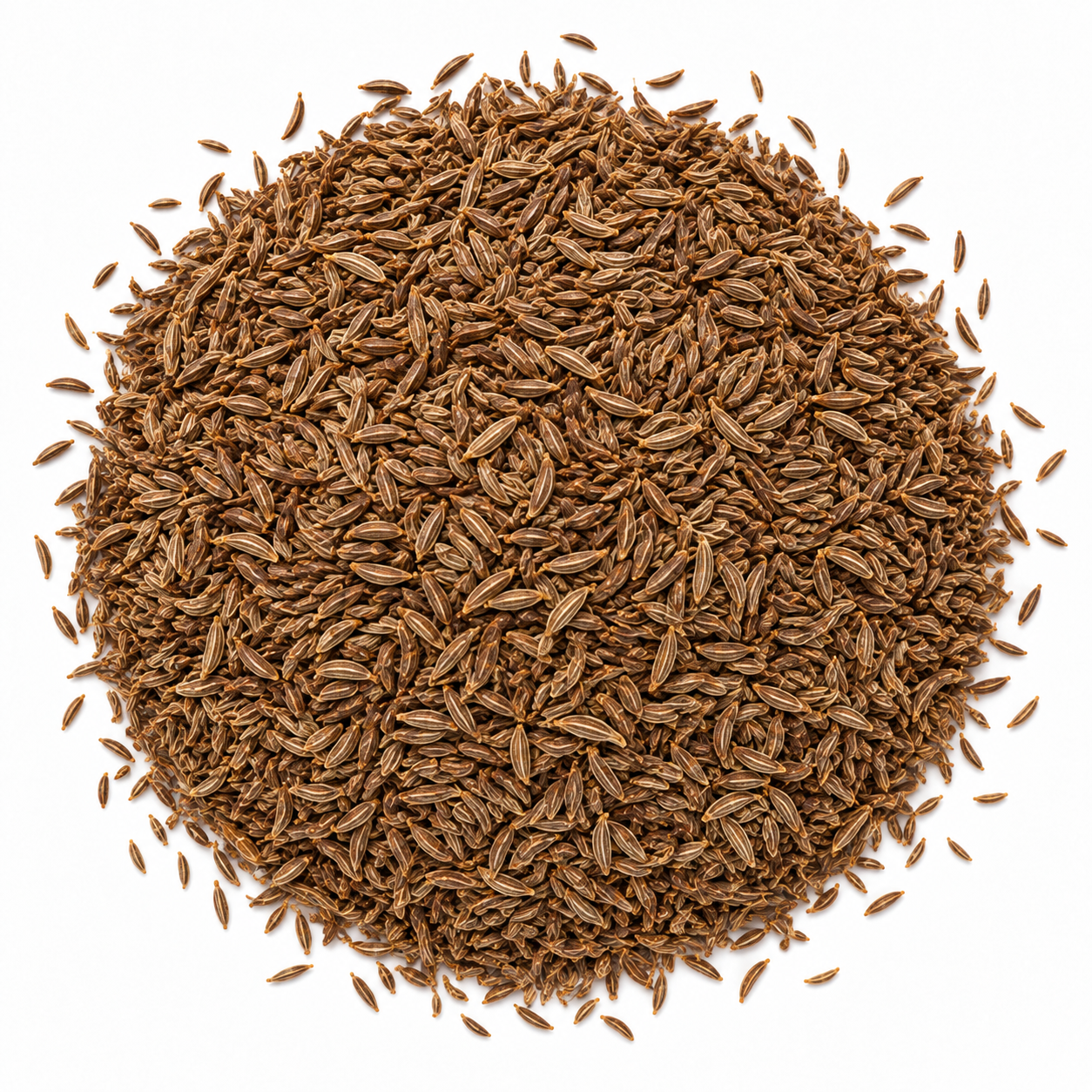 Caraway Seeds — 50 lbs