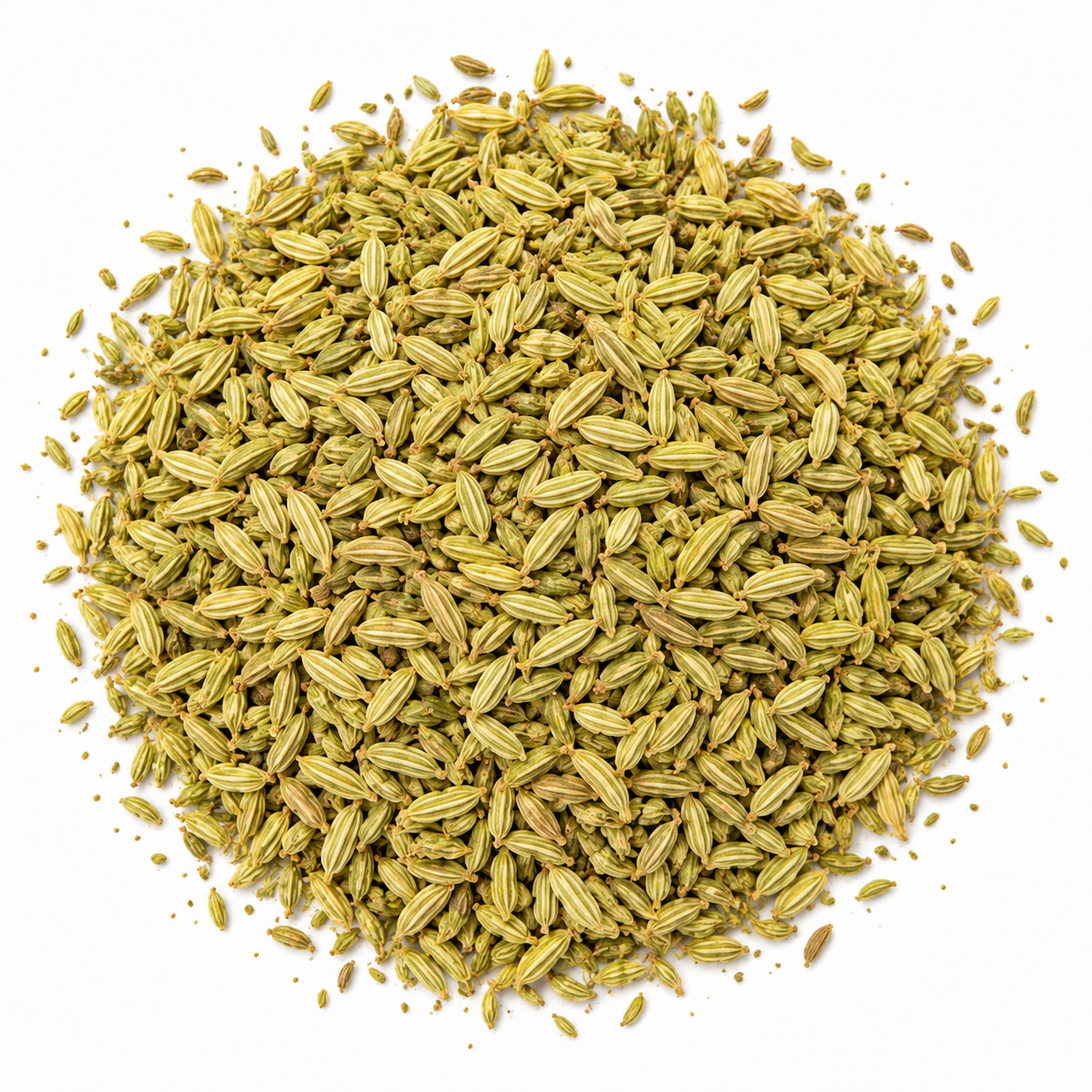 Bulk Fennel Seeds