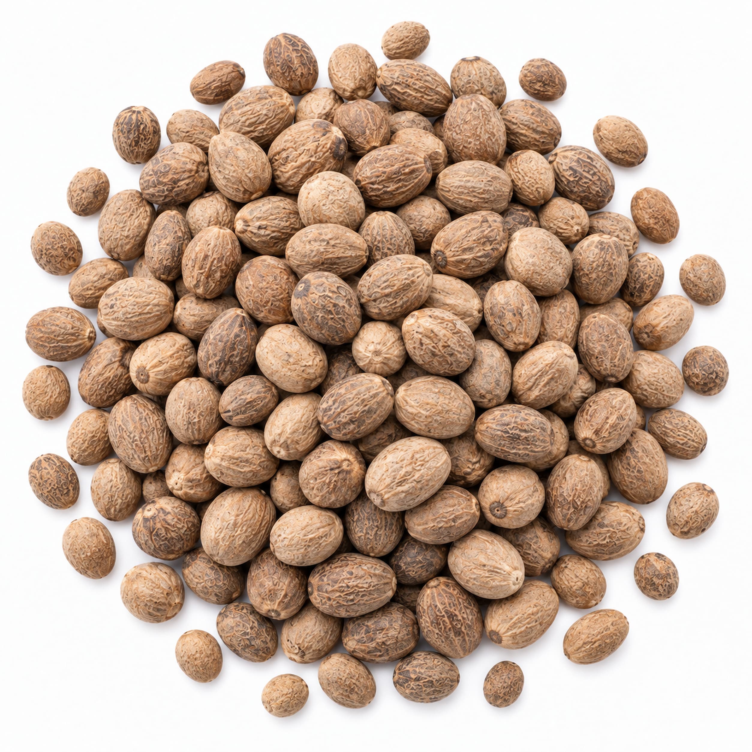 Bulk Ground Nutmeg Powder